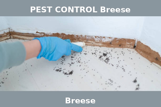 PEST CONTROL Breese